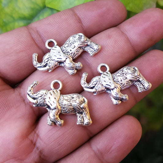 Roaring Elephant Silver Charm