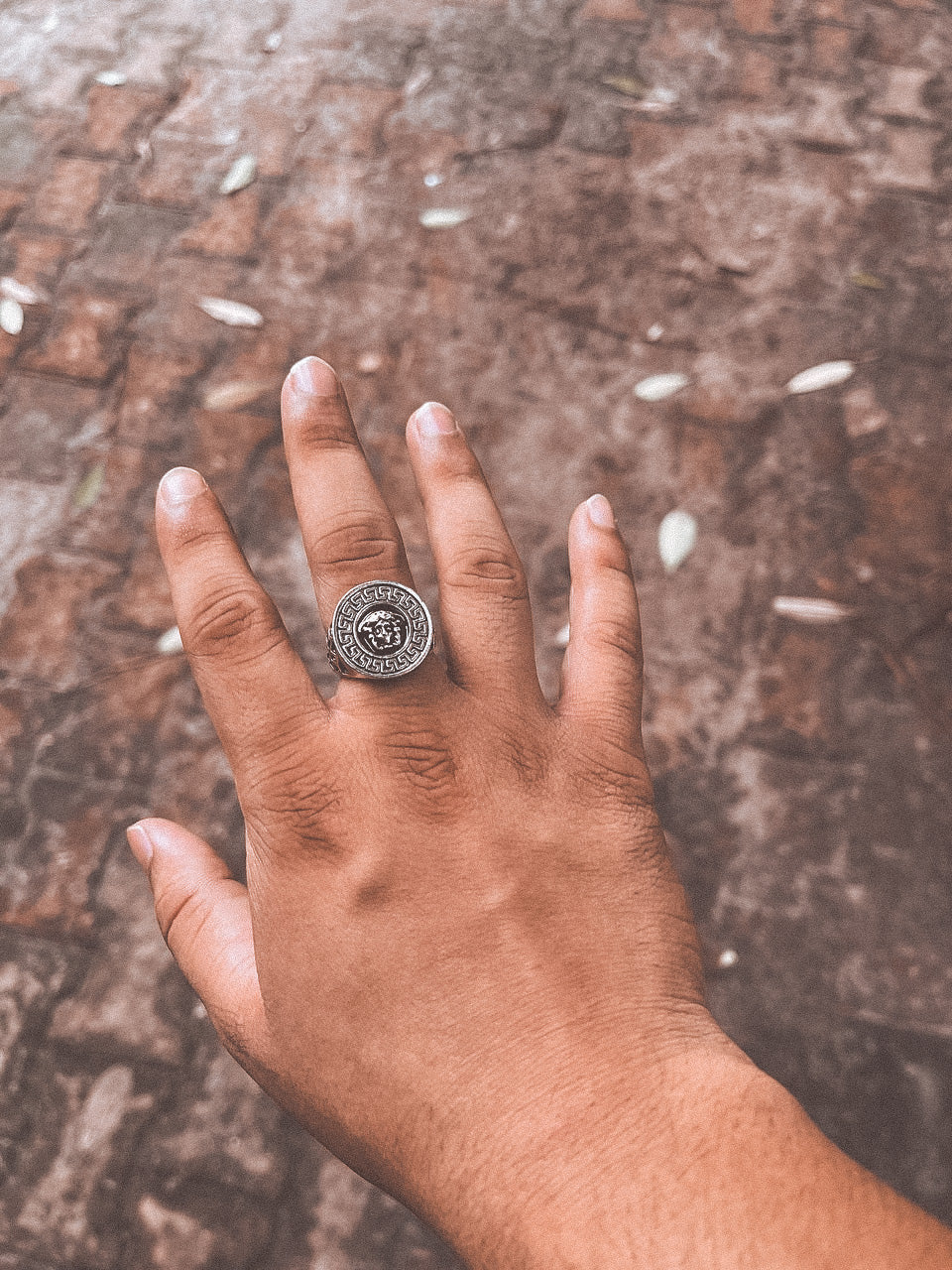 Egyptian Lion Coin Silver Oxidized Waterproof Ring